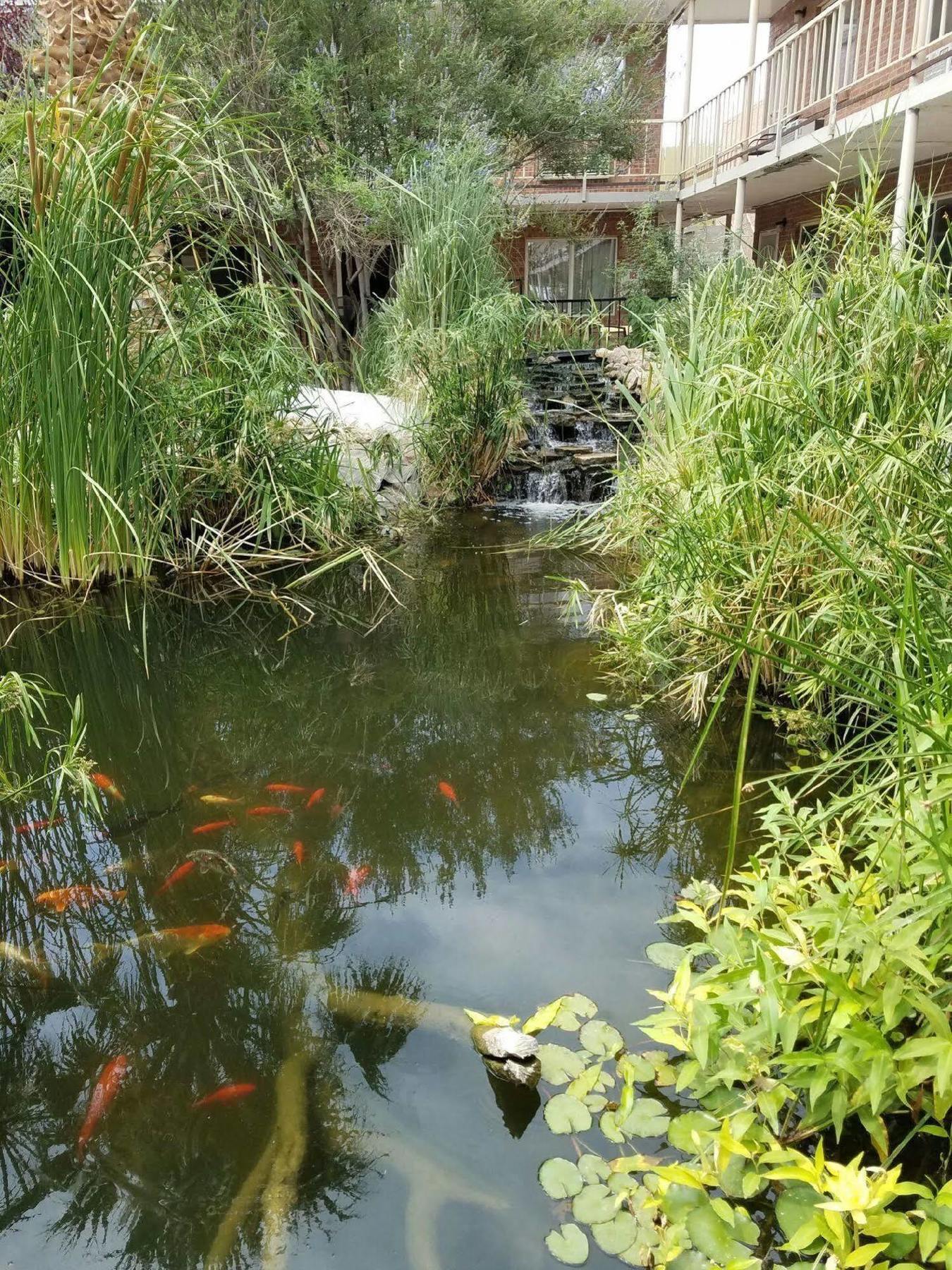 Big Chile Inn & Suites Las Cruces Dış mekan fotoğraf